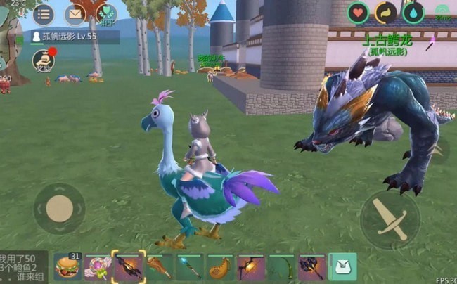 创造与魔法潮流陆行鸟刷新概率是多少 要杀多少只才出 创造与魔法潮流陆行鸟刷新概率是多少 要杀多少只才出