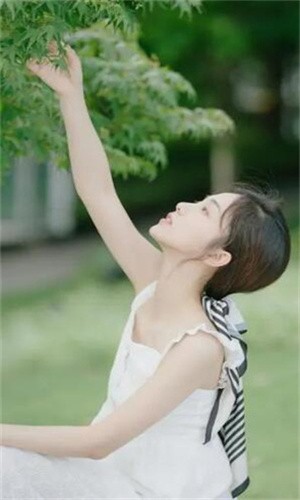 青青草视频在线观看下载最新版