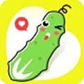 盘丝洞app在线下载