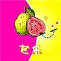 荷花6616TV手机版免费下载