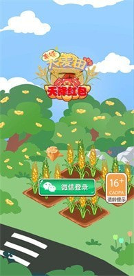 丰收大麦田0